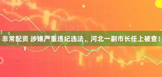 非常配资 涉嫌严重违纪违法，河北一副市长任上被查！