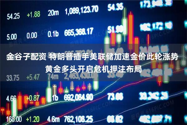 金谷子配资 特朗普插手美联储加速金价此轮涨势 黄金多头开启危机押注布局